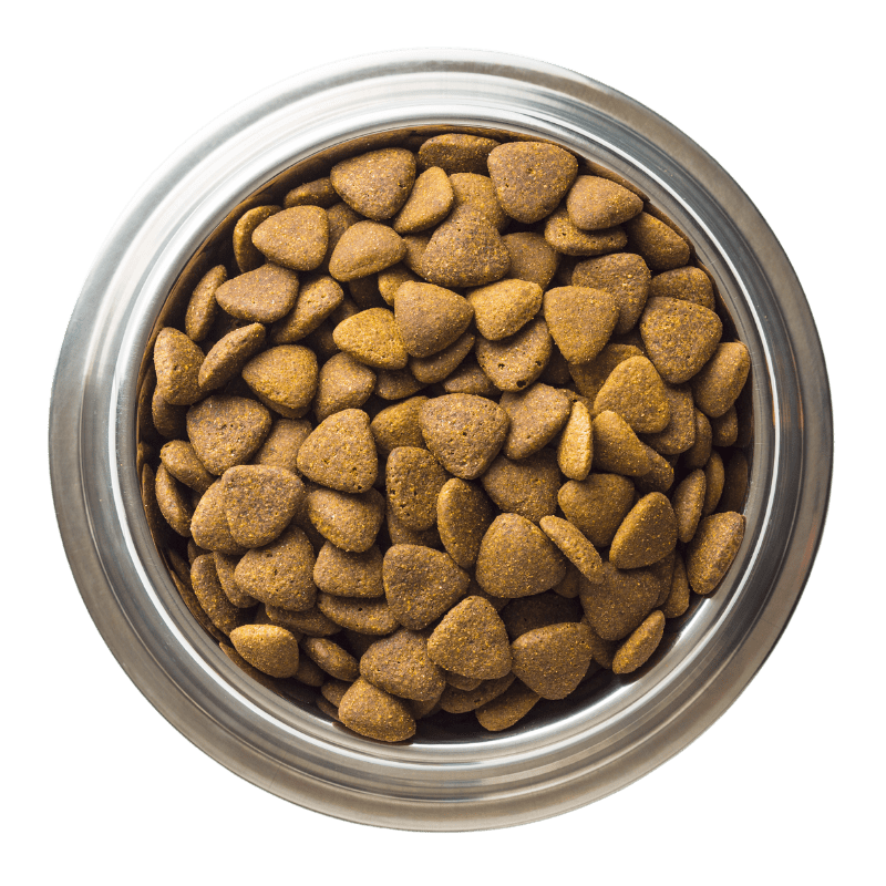 Kibbles Compare with Ocean Feast Freeze Dried Pet Food
