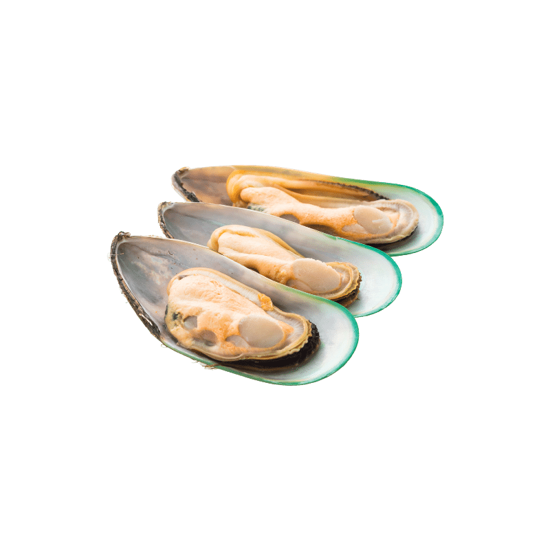 Ocean Feast Ingredient-Green-lipped Mussels