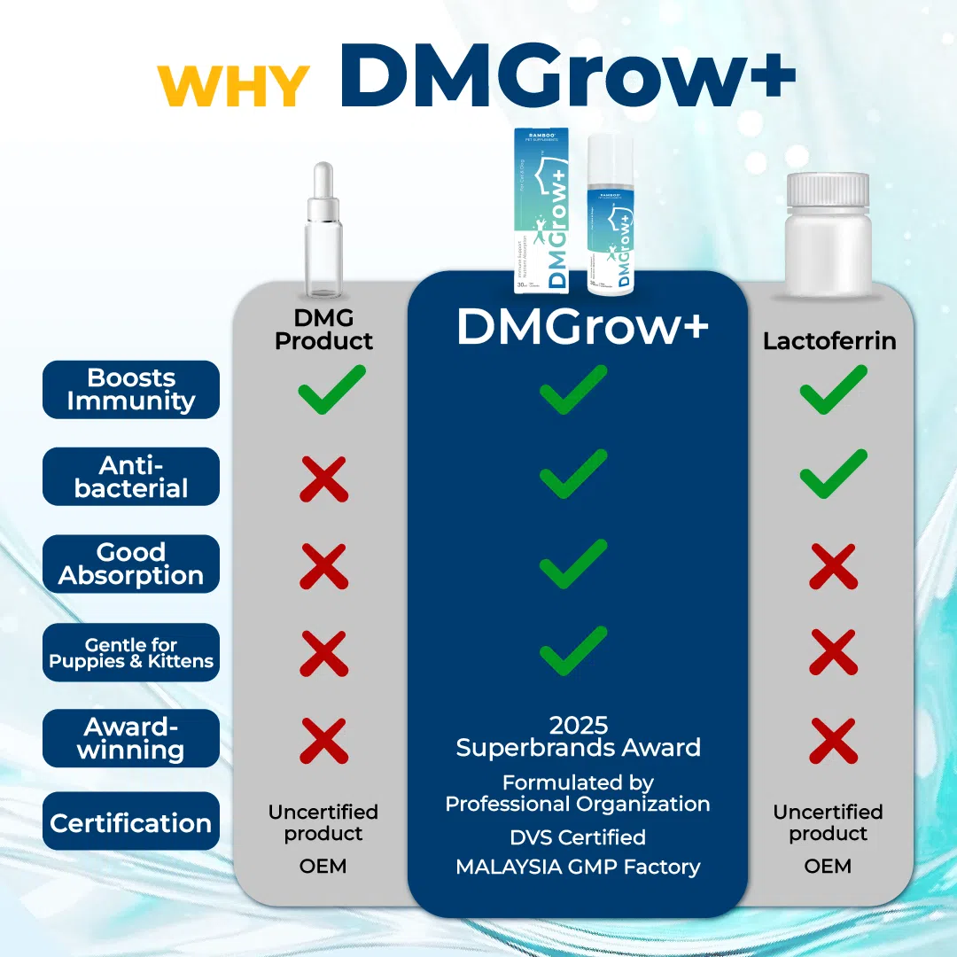 DMGrow+ - Image 7