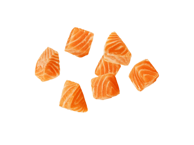 Ocean Feast Ingredient-Alaskan Salmon
