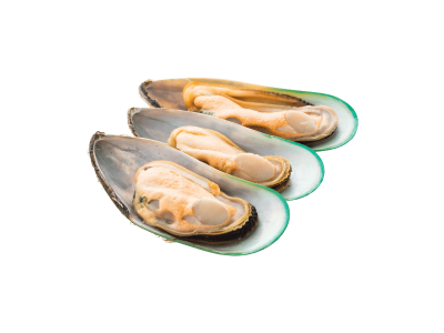 Ocean Feast Ingredient-Green-lipped Mussels